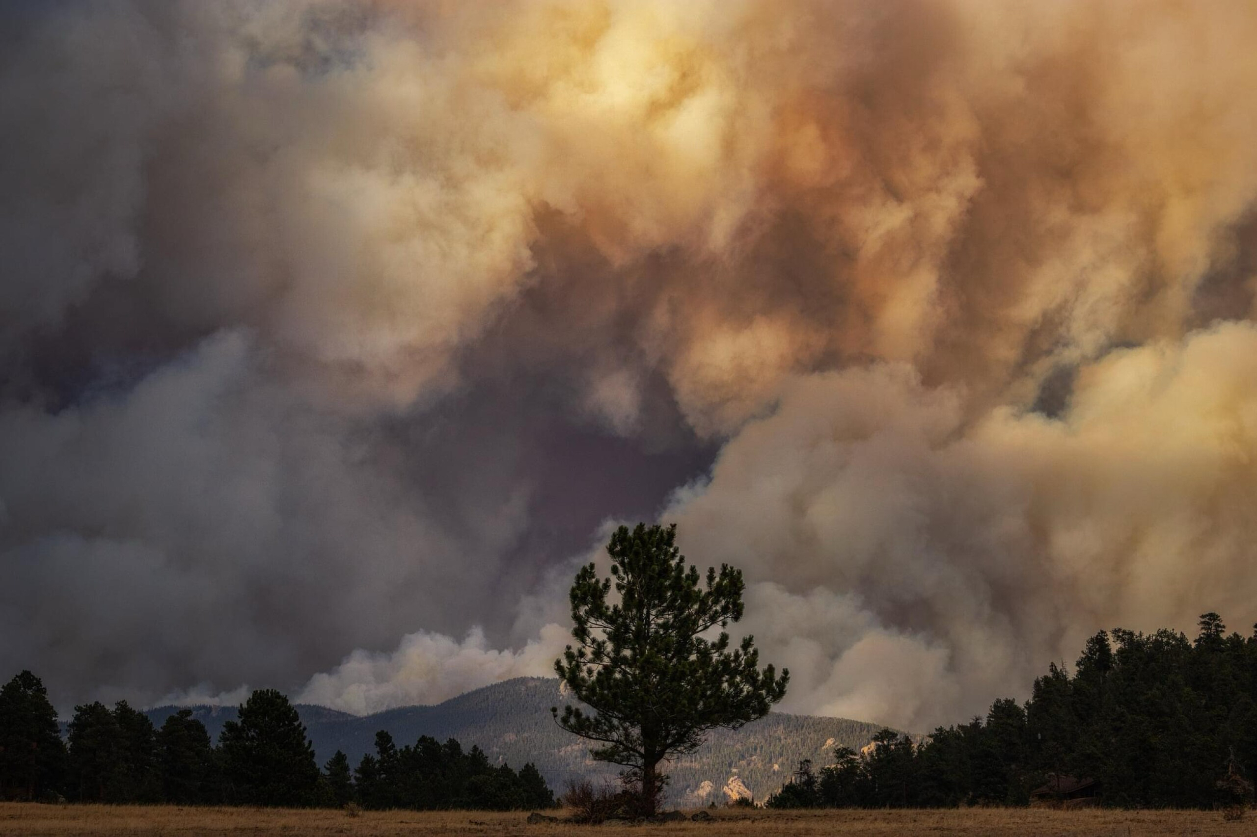 Colorado Trail Explorer (COTREX) App Fire Alert Feature - The Silver ...